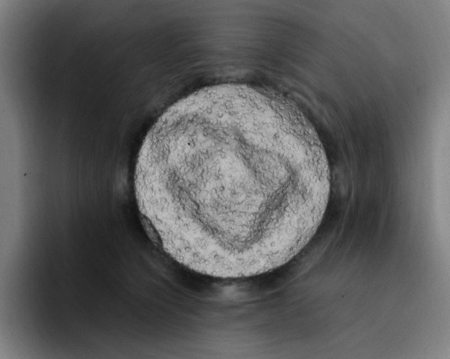 X0000094940564200712271615