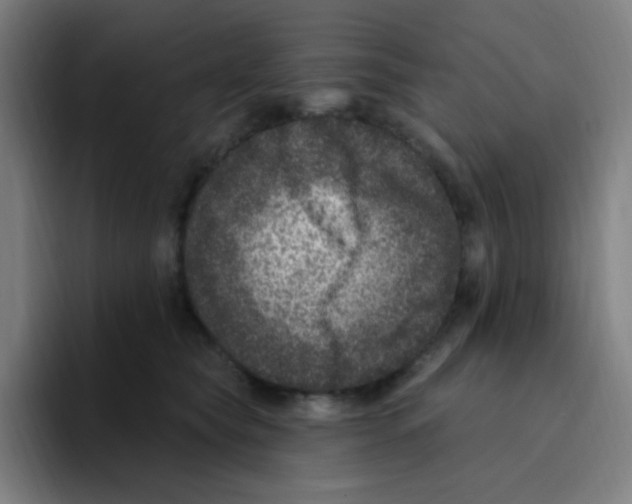 X0000094940565200712271615