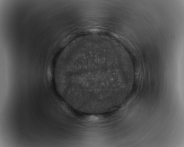 X0000094940566200712271615
