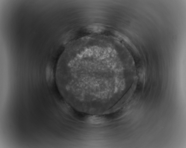 X0000094940568200712271615