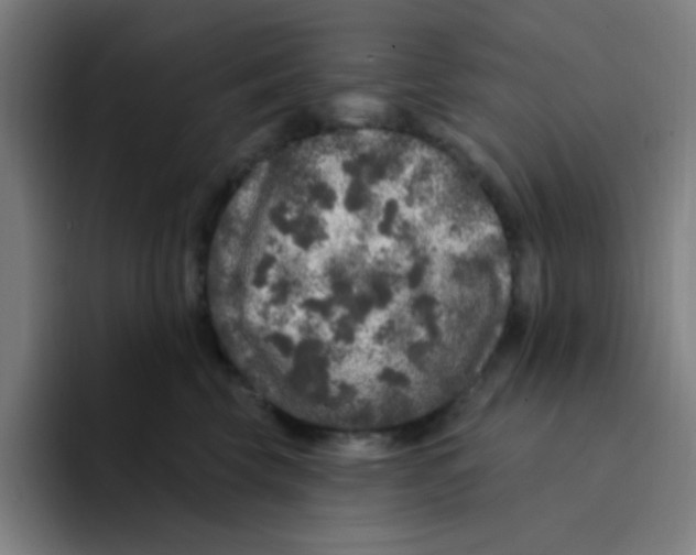 X0000094940569200712271615