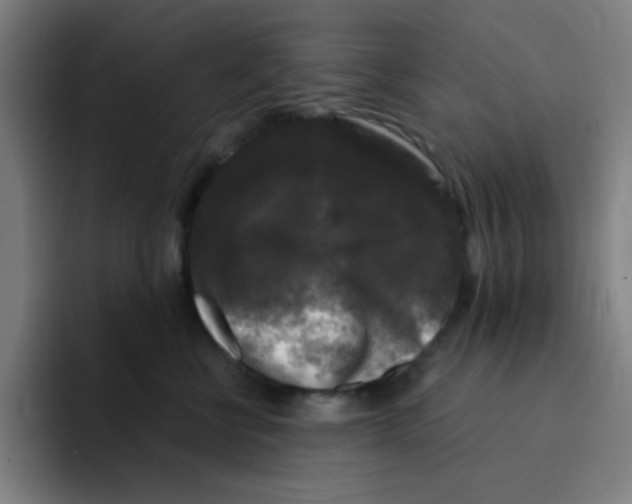 X0000094940570200712271615