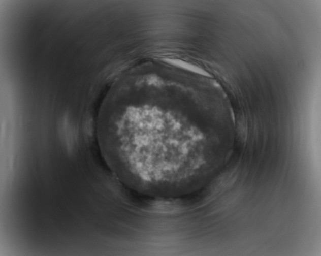 X0000094940571200712271615