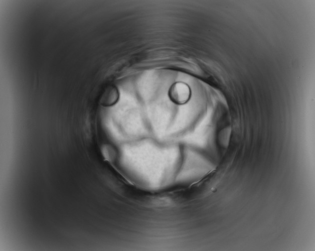 X0000094940572200712271615