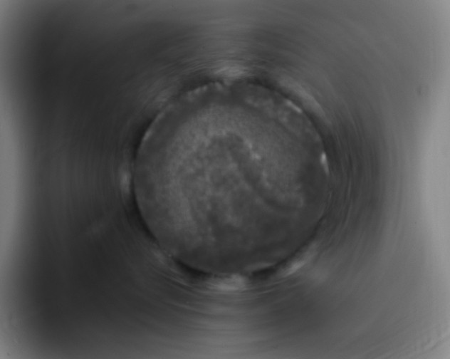 X0000094940576200712271615