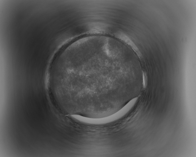 X0000094940579200712271615