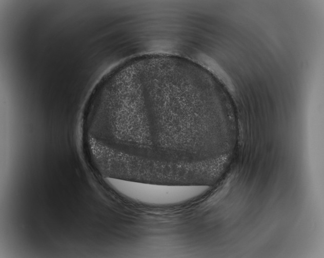 X0000094940580200712271615