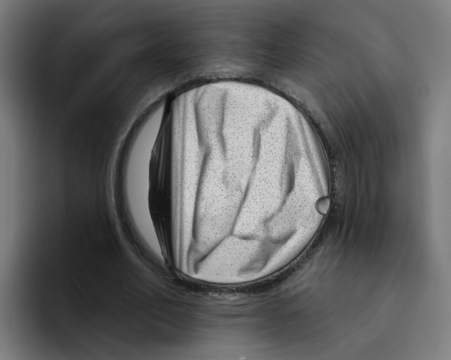 X0000094940582200712271615