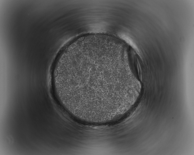 X0000094940584200712271614
