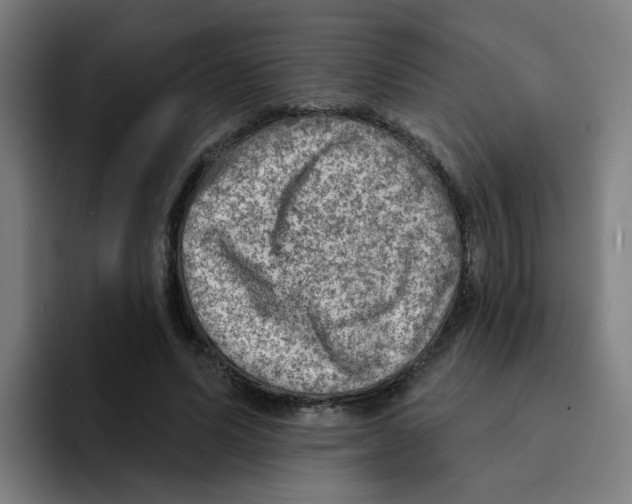 X0000094940591200712271614