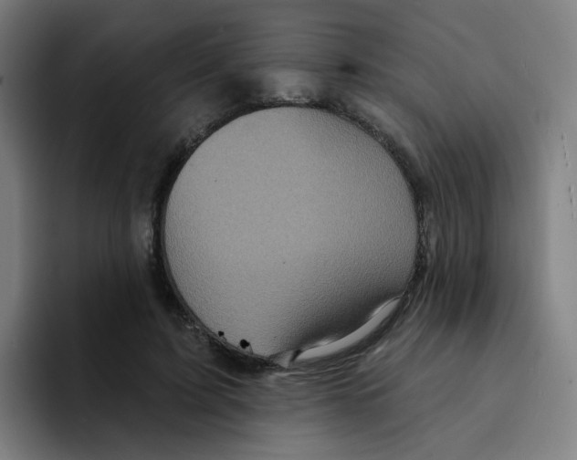 X0000094940595200712271614
