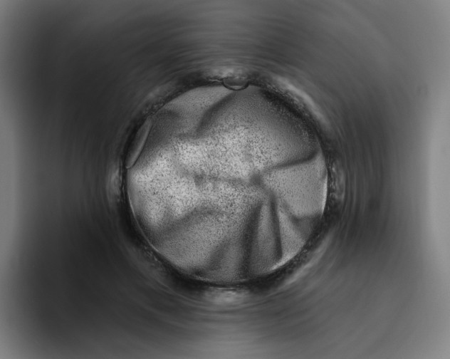 X0000094940597200712271614