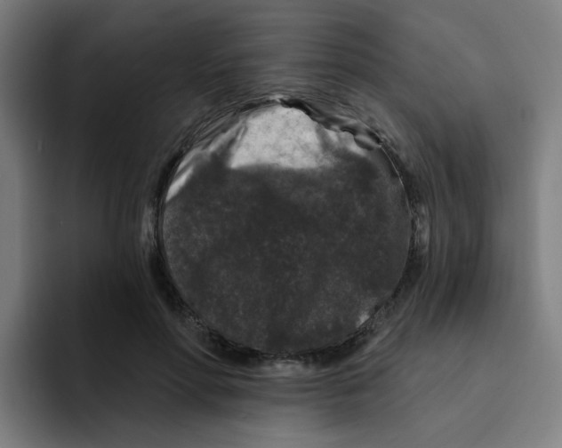 X0000094940598200712271614