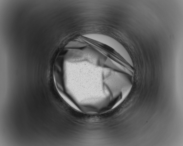 X0000094940600200712271614