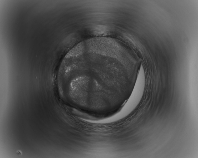 X0000094940601200712271614