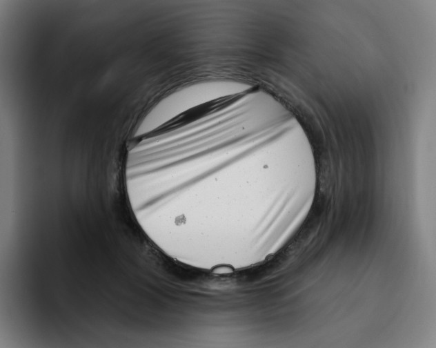 X0000094940604200712271614