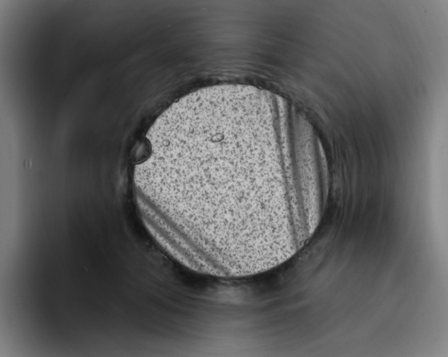 X0000094940608200712271614
