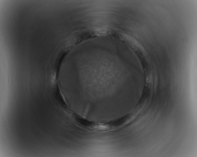 X0000094940610200712271614