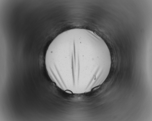 X0000094940612200712271614