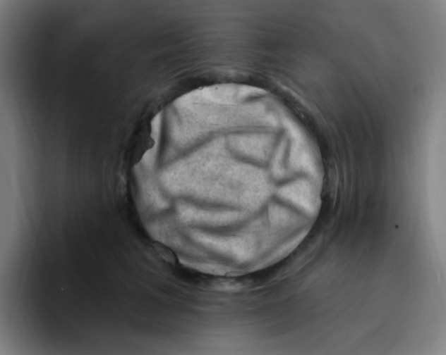 X0000094940613200712271614