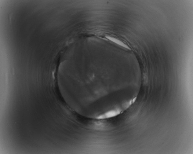 X0000094940618200712271614