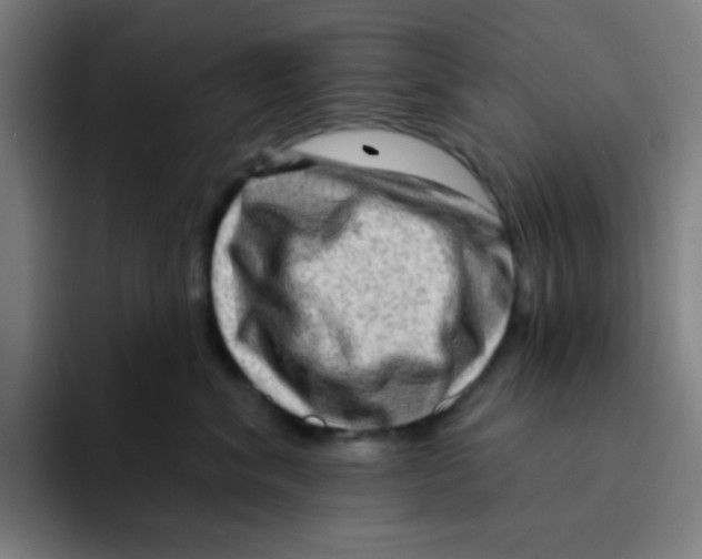 X0000094940620200712271614
