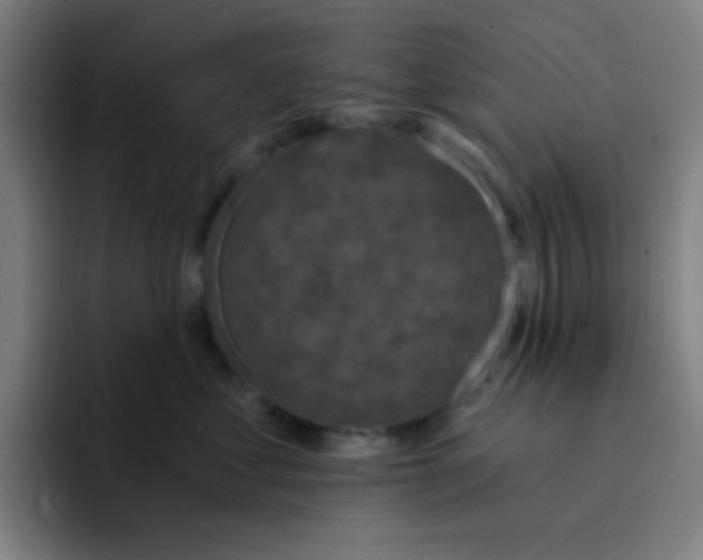 X0000094940621200712271614
