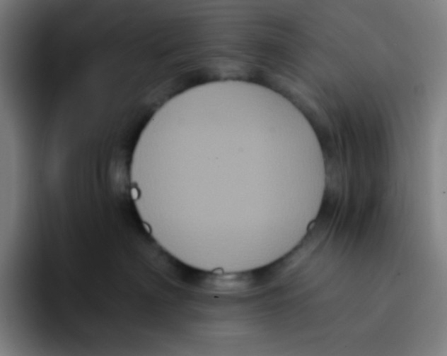 X0000094940622200712271614