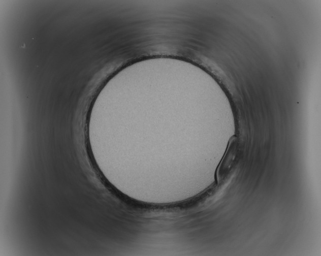 X0000094940625200712271613