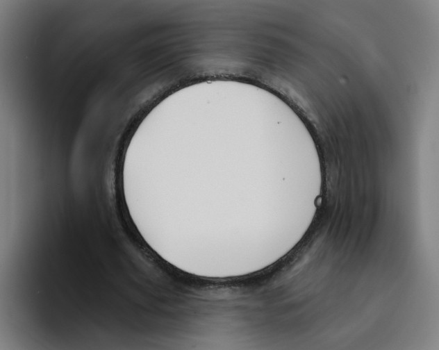 X0000094940629200712271613