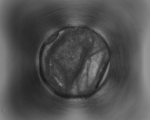 X0000094940630200712271613