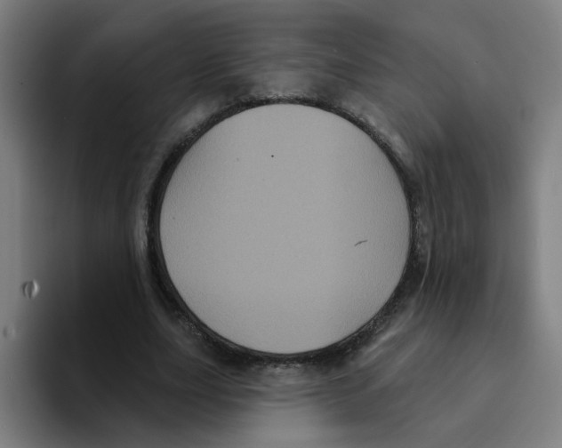 X0000094940631200712271613