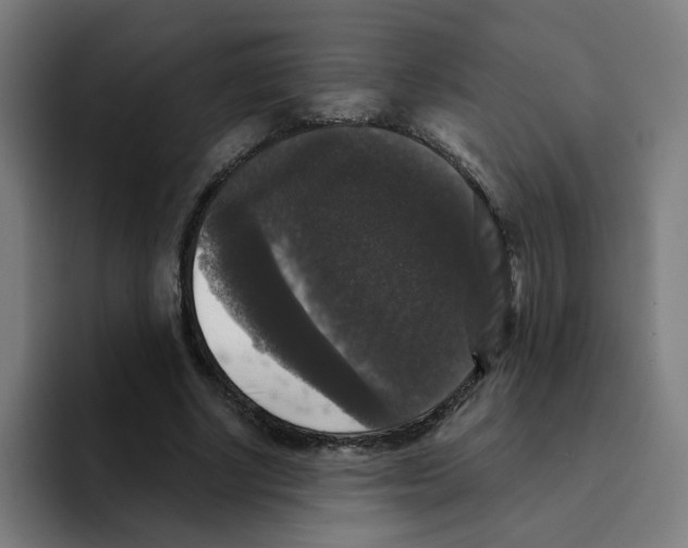 X0000094940634200712271613