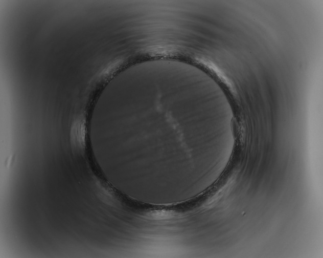 X0000094940637200712271614