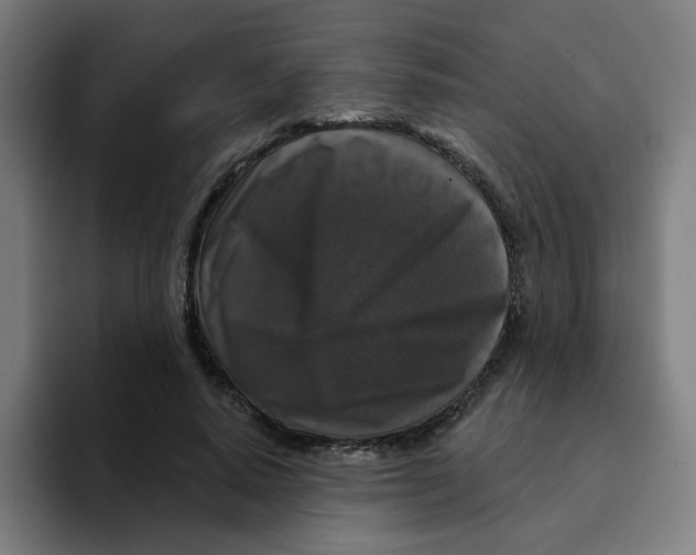 X0000094940640200712271614