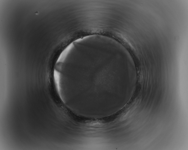 X0000094940643200712271614