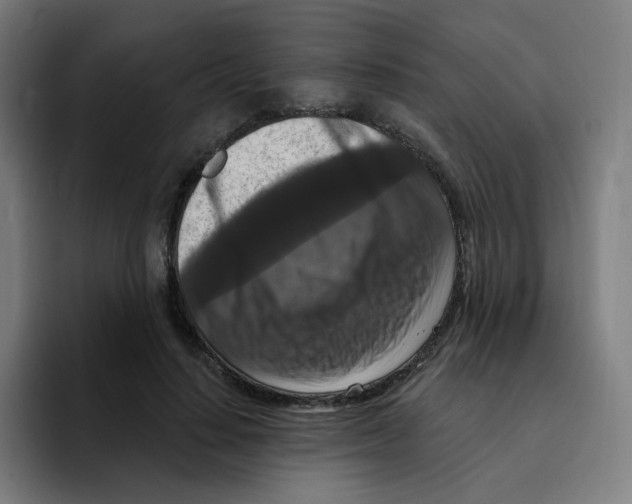 X0000094940644200712271614