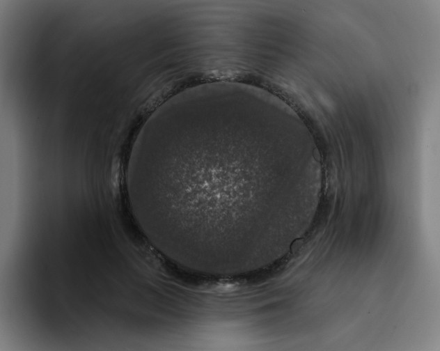 X0000094940647200712271614