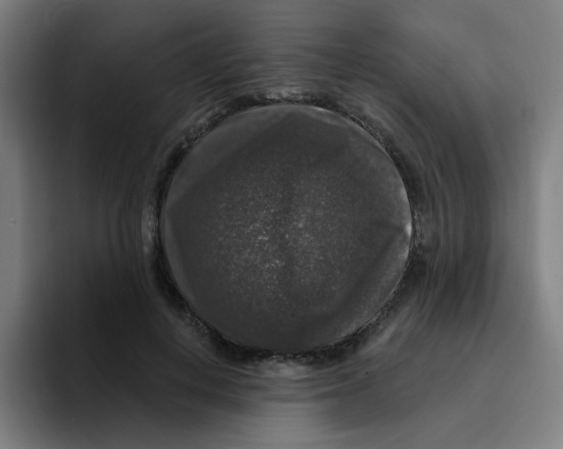 X0000094940648200712271614