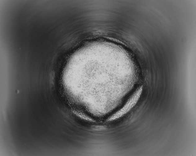 X0000094940649200712271614