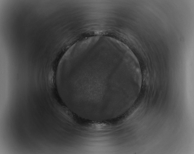 X0000094940650200712271614
