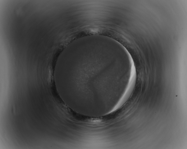 X0000094940651200712271614