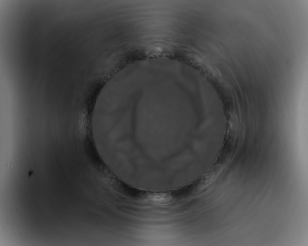 X0000094940659200712271614