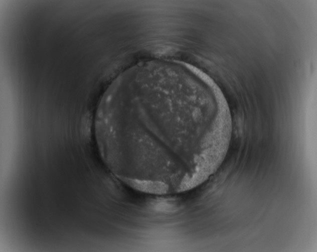 X0000094940664200712271614