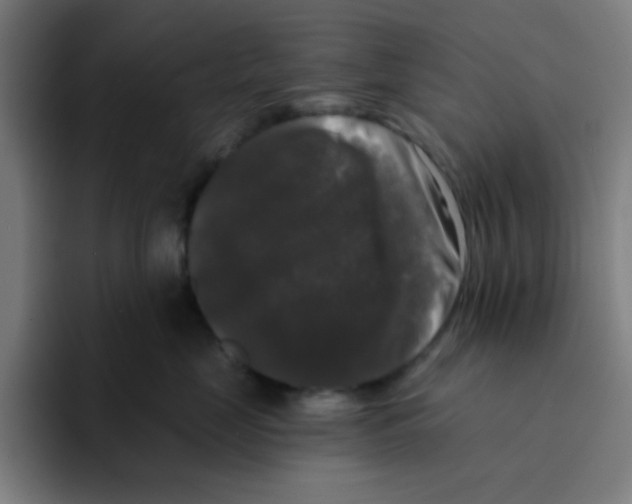 X0000094940669200712271614