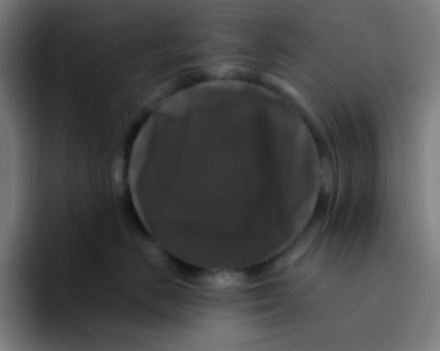 X0000094940670200712271614
