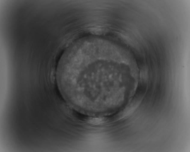 X0000094940671200712271614
