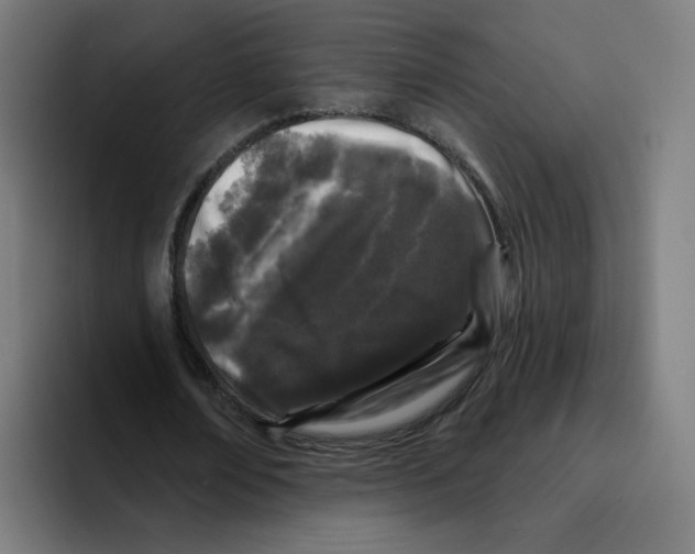 X0000094940674200712271613