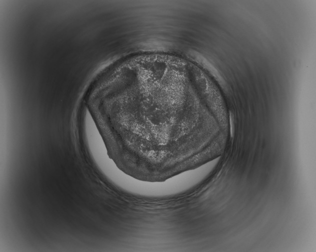 X0000094940675200712271613