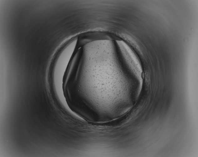 X0000094940676200712271613